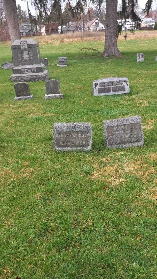 Henry L. Morgan's grave. Photo 2