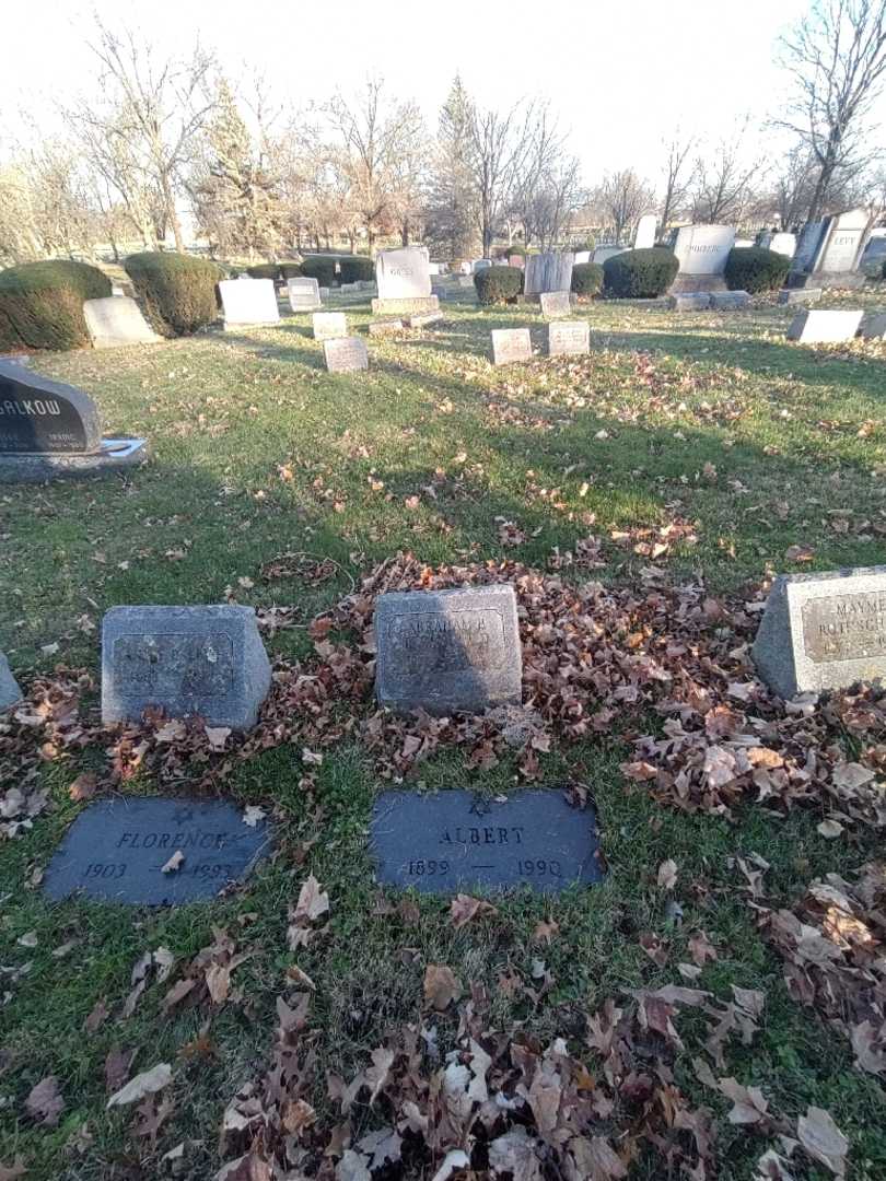 Abraham B. Rothschild's grave. Photo 1