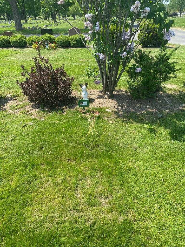 Rosemary Gurniak's grave. Photo 3
