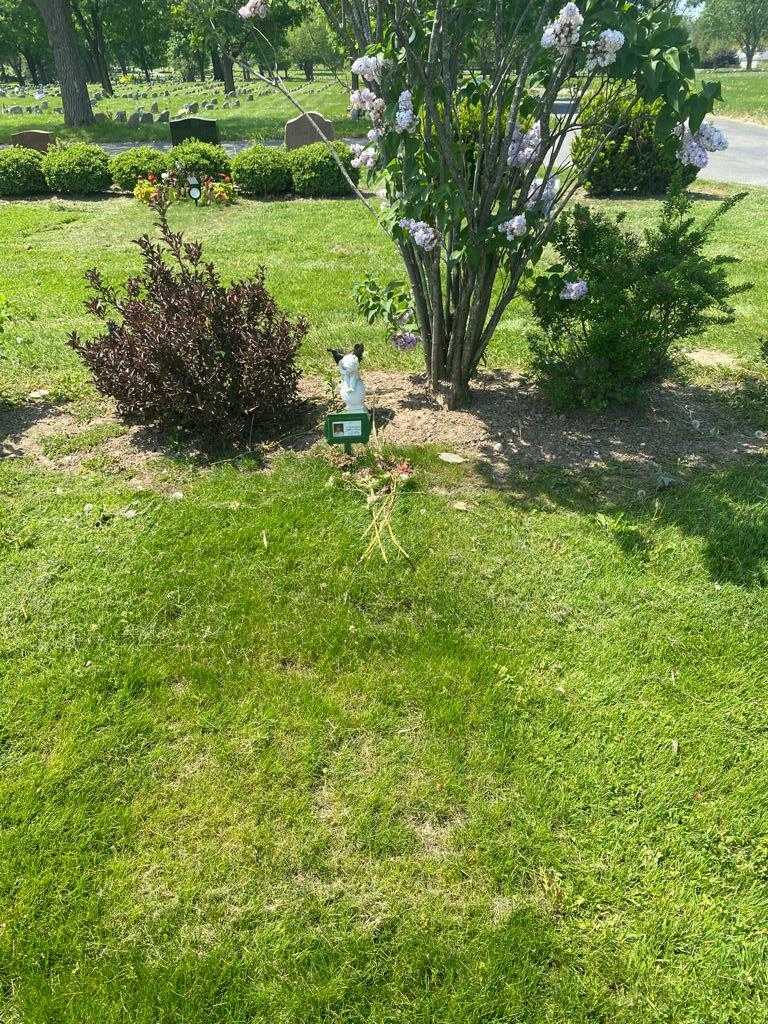 Rosemary Gurniak's grave. Photo 2