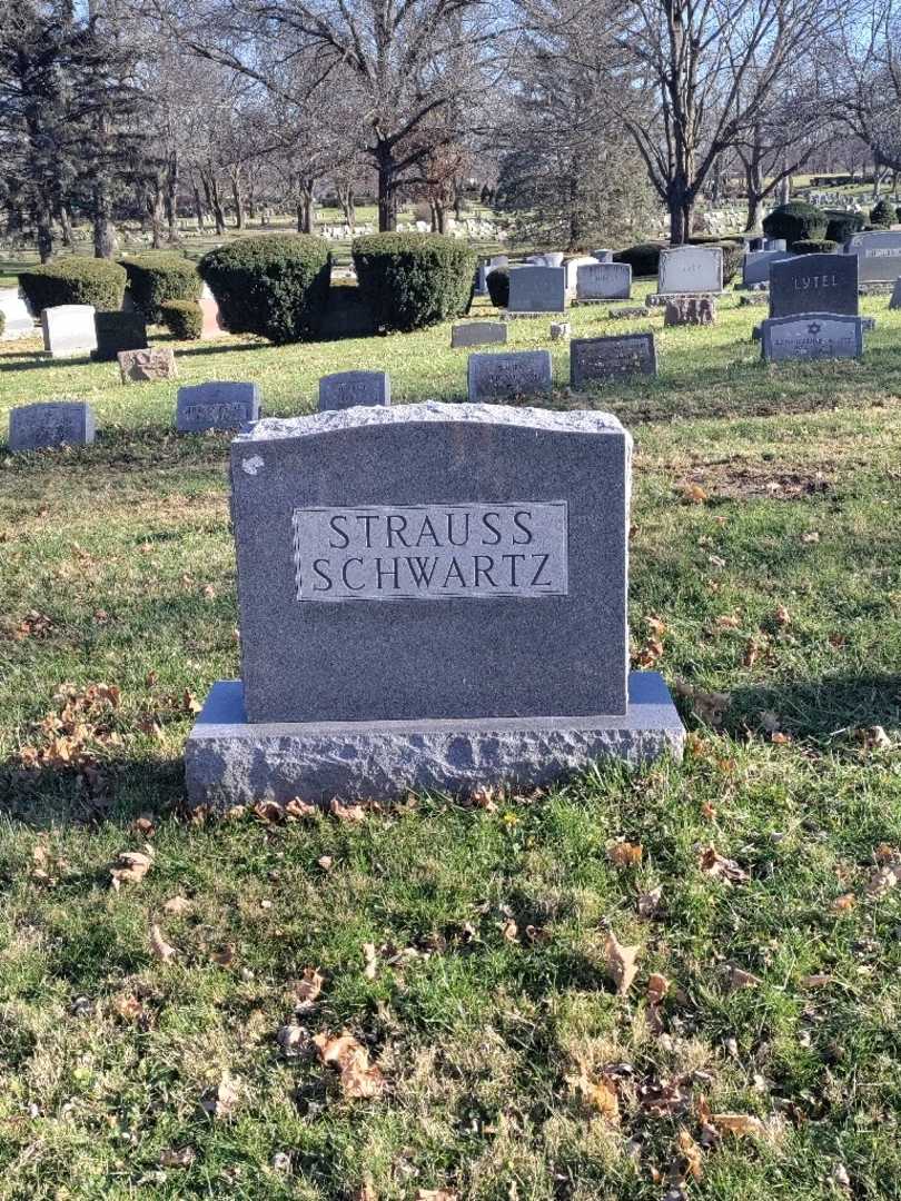 Adolf Strauss's grave. Photo 4