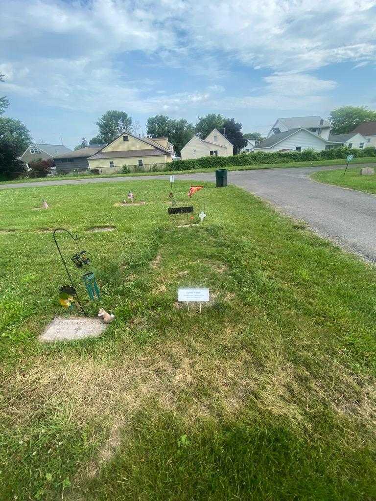 Sylvia Wilson's grave. Photo 1