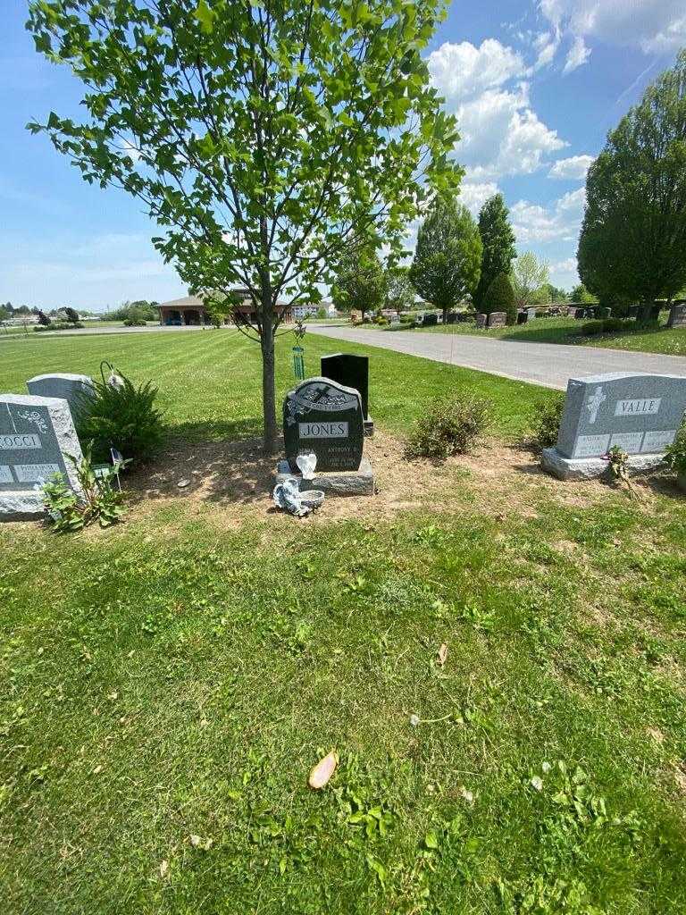 Anthony D. Jones's grave. Photo 1