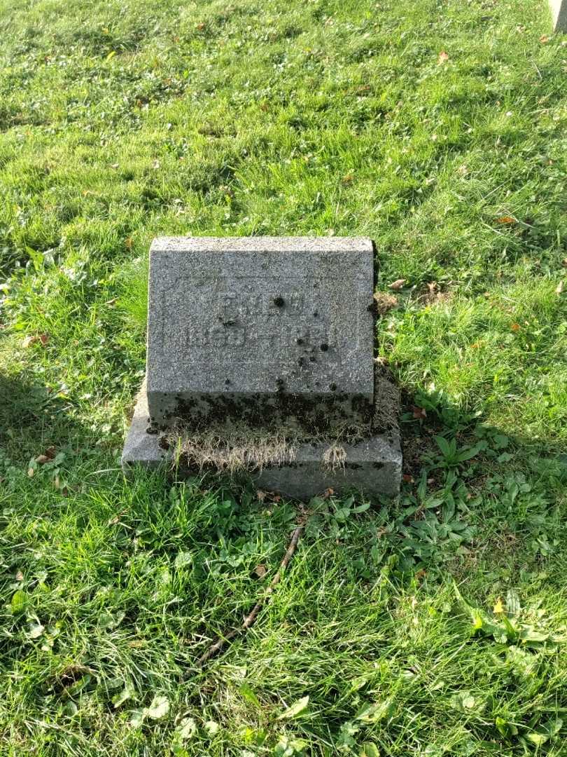 Fred Williams's grave. Photo 2