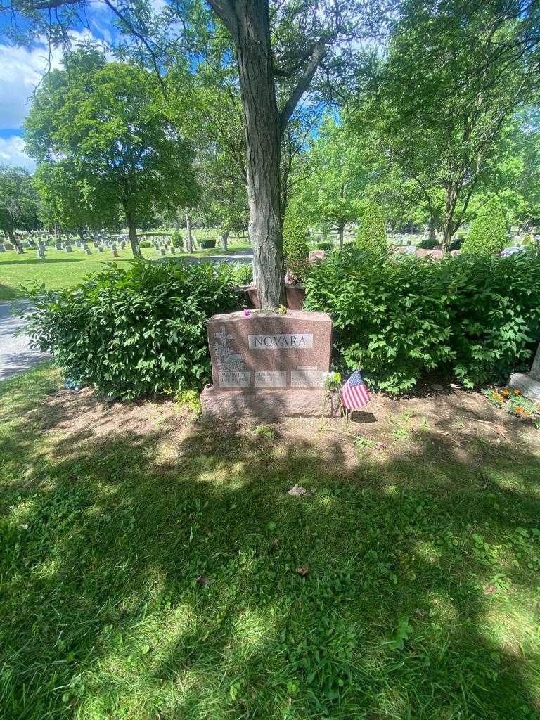 Carlo Novara's grave. Photo 1