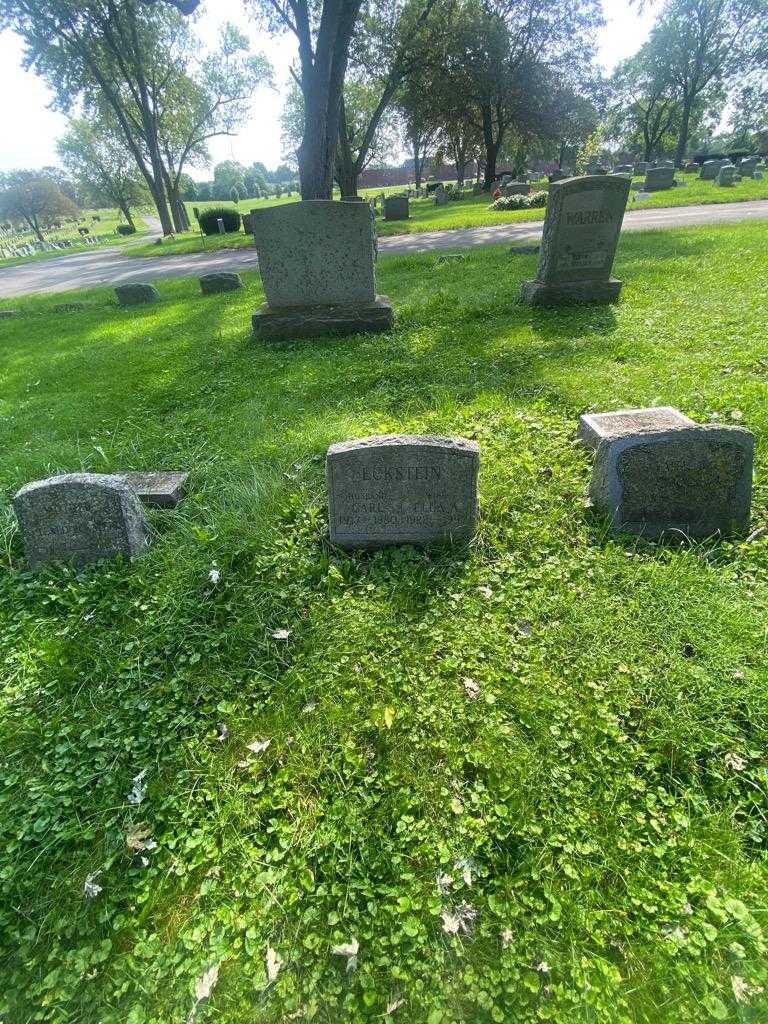 Ella A. Eckstein's grave. Photo 1