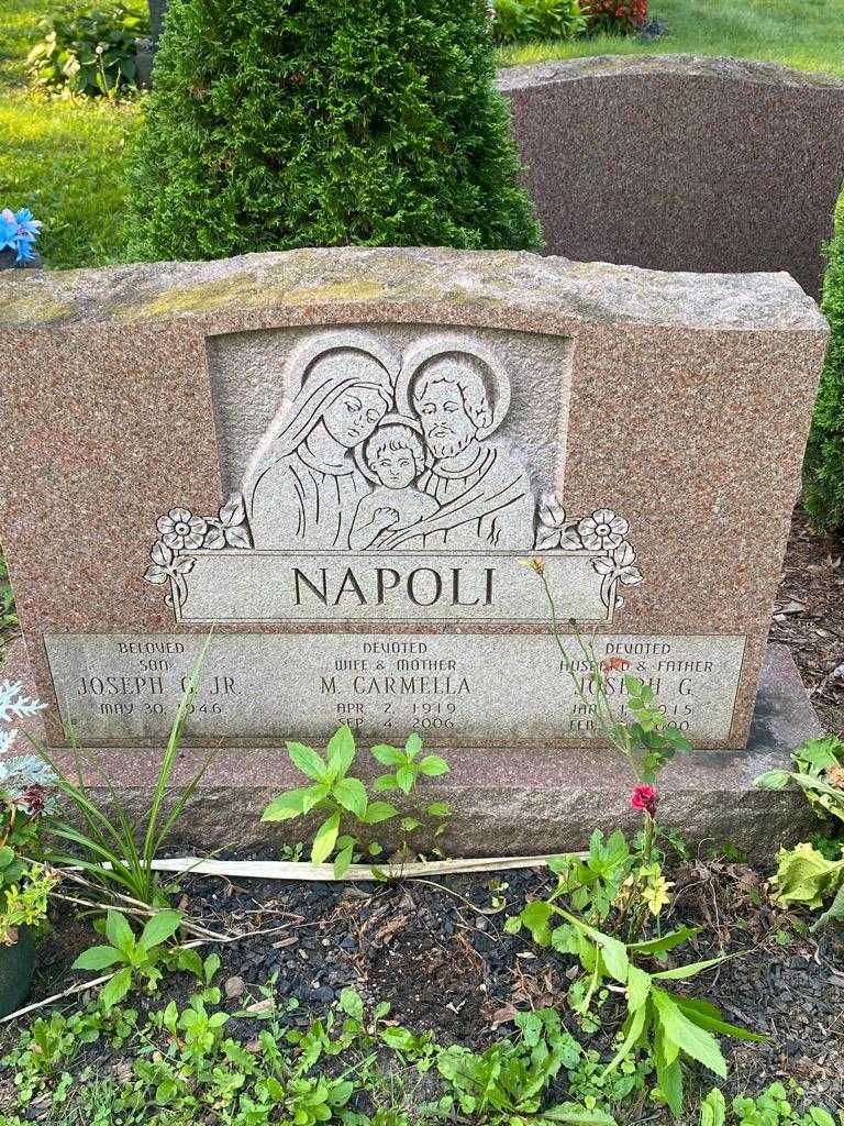 Joseph G. Napoli's grave. Photo 3