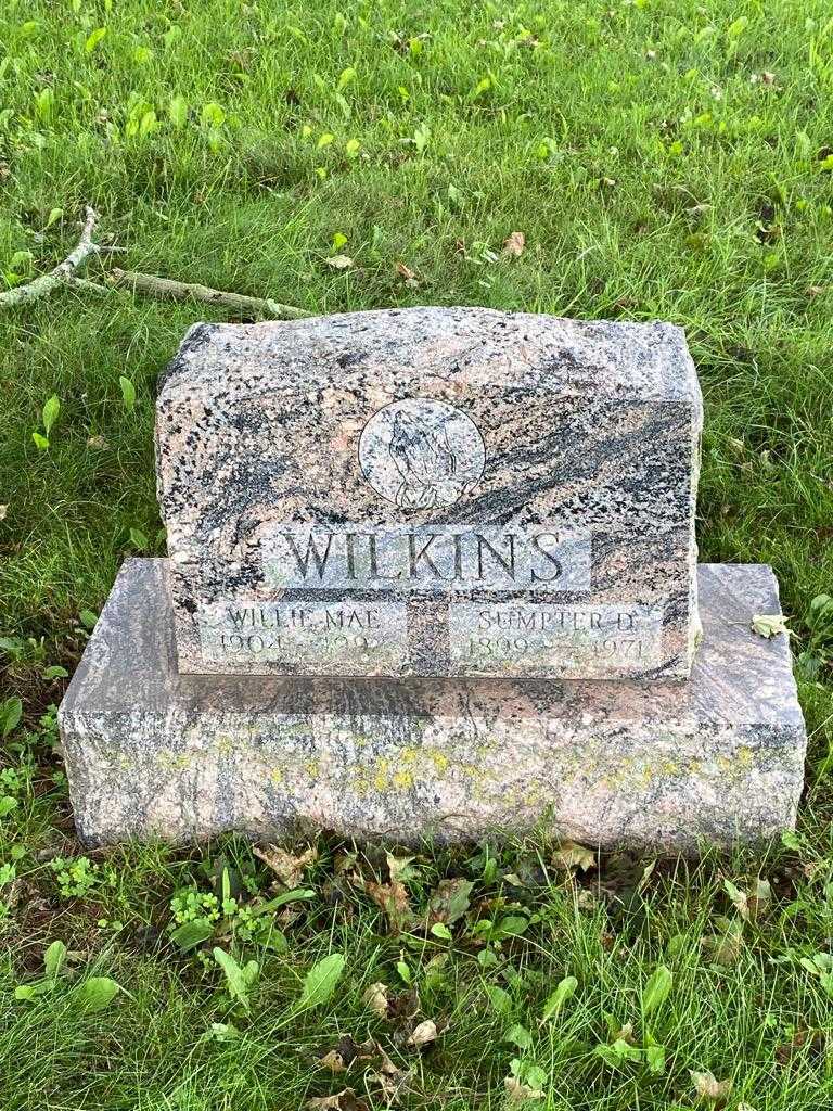 Sumpter D. Wilkins's grave. Photo 3