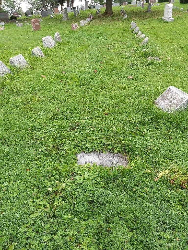 Thelma M. Muldoon's grave. Photo 3