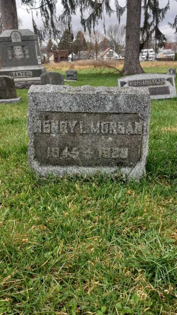 Henry L. Morgan's grave. Photo 3