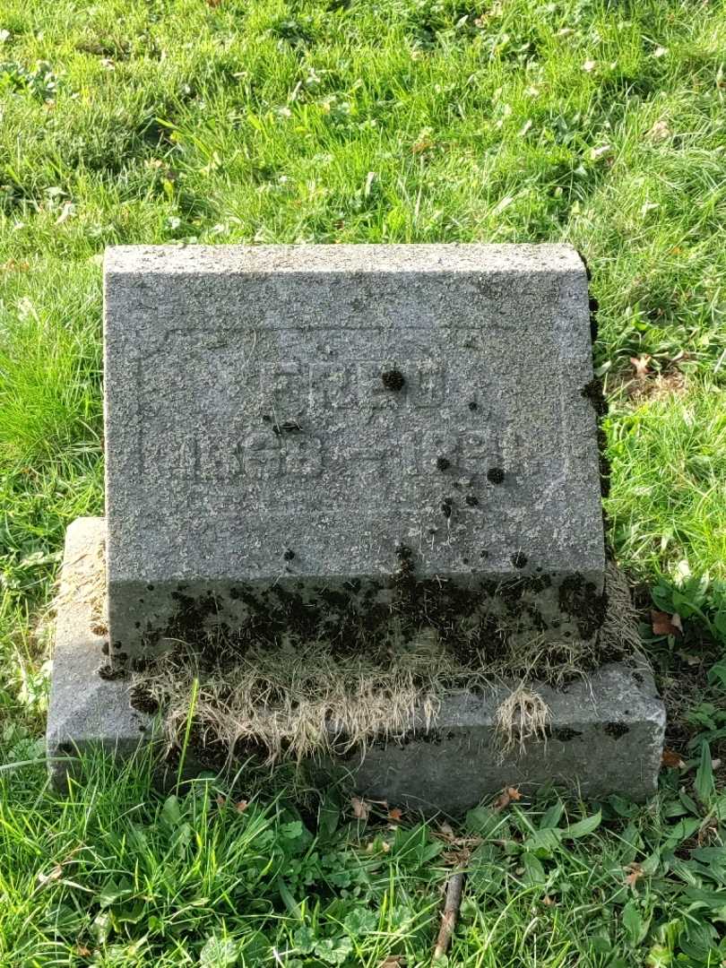 Fred Williams's grave. Photo 3