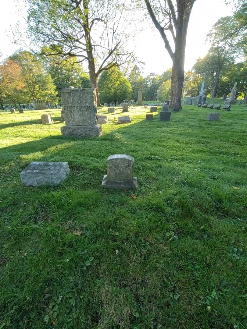 Charles Fesenmeyer's grave. Photo 1
