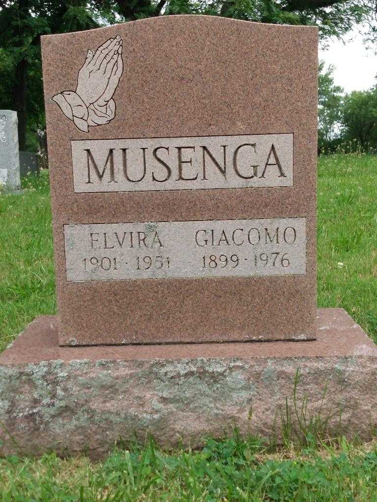 Elvira Musenga's grave. Photo 3
