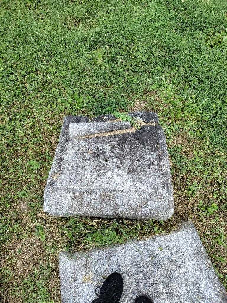 Charles S. Wilcox's grave. Photo 1