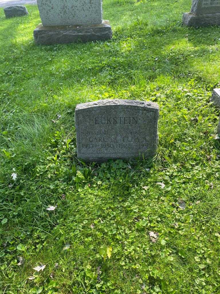 Ella A. Eckstein's grave. Photo 2