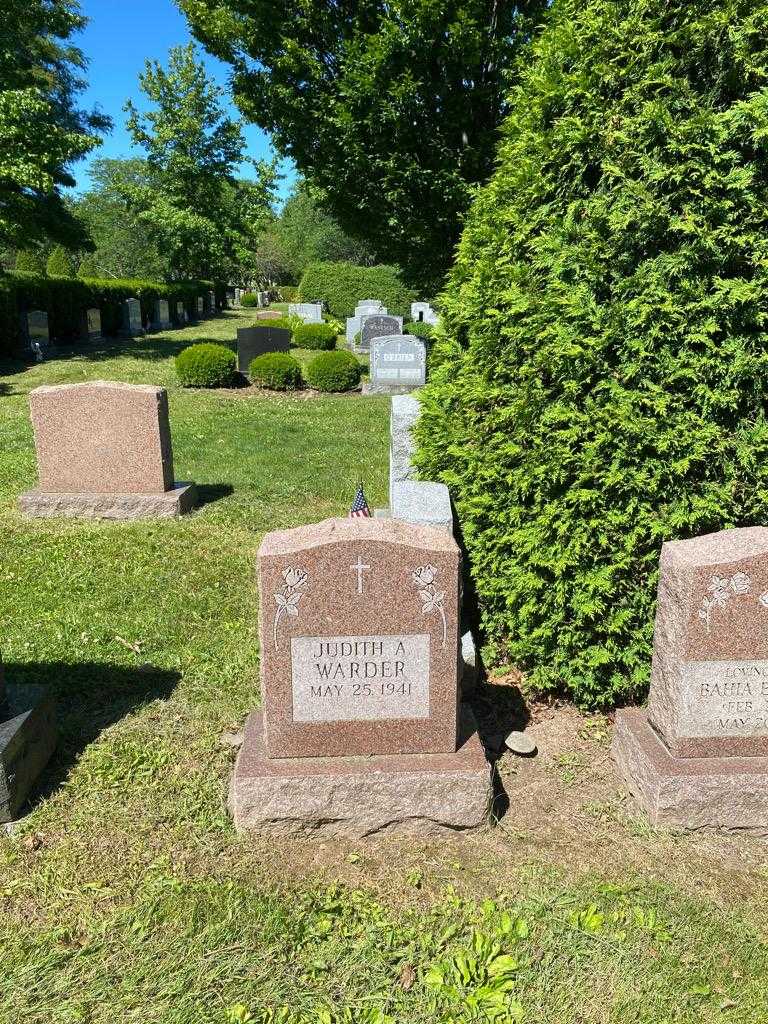 Judith Ann "Judy" Warder's grave. Photo 3