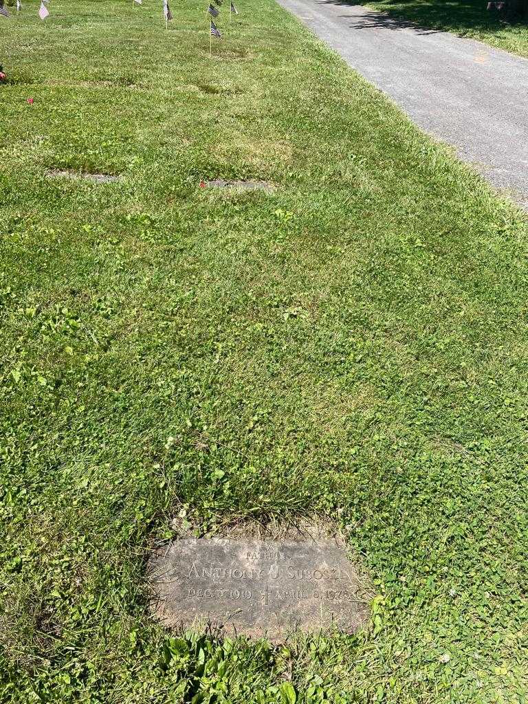 Anthony J. Suboski's grave. Photo 2