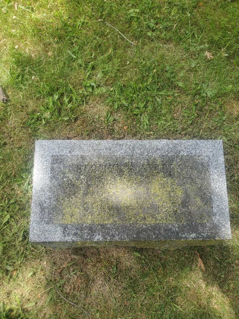 Bertha R. Strong's grave. Photo 3