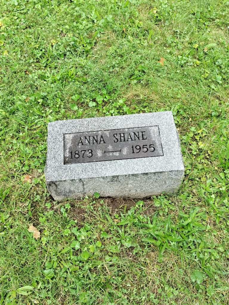 Anna Shane's grave. Photo 2