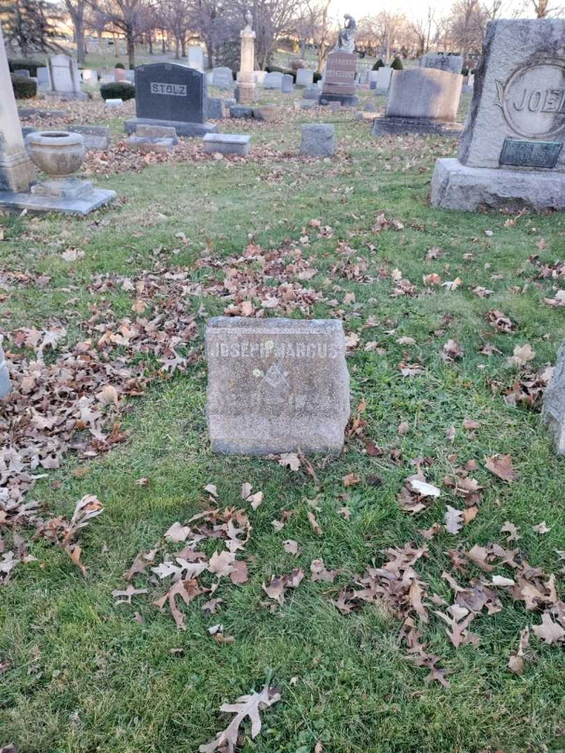 Joseph Marcus Joel's grave. Photo 2