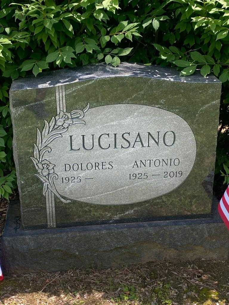 Antonio Lucisano's grave. Photo 3