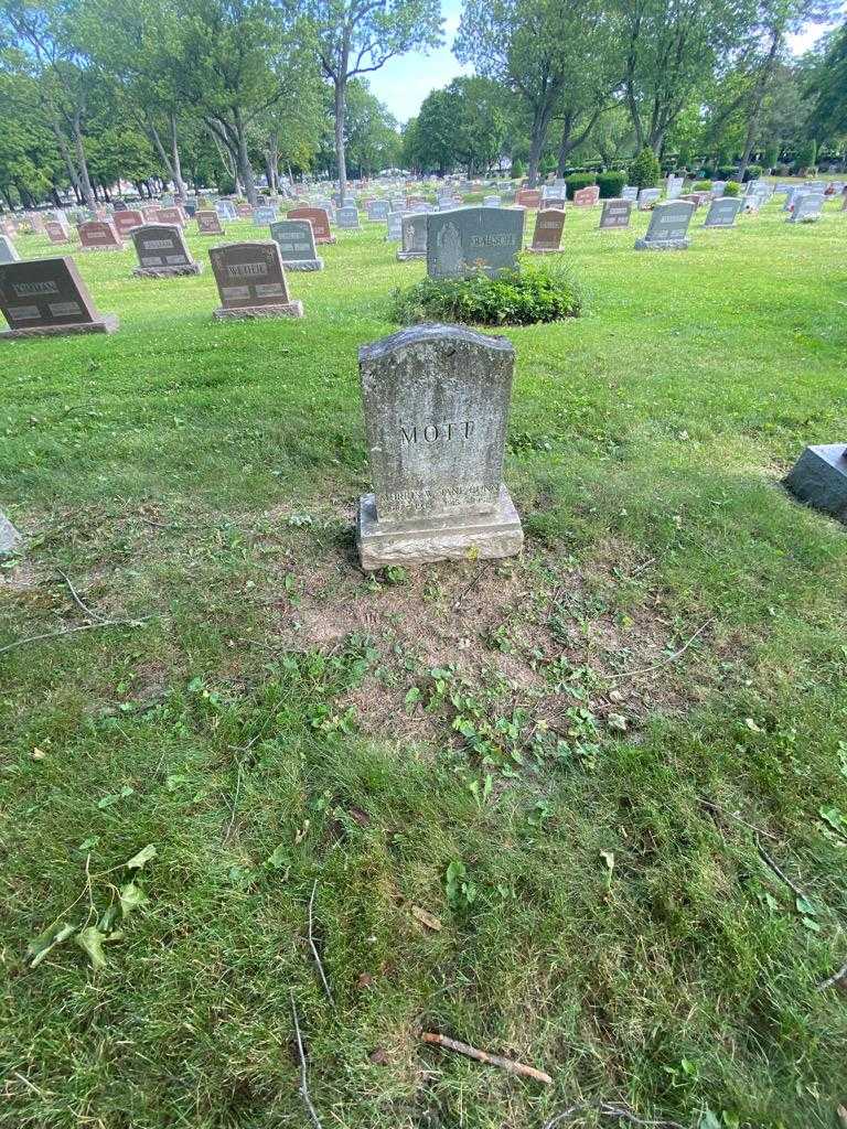 Morris W. Mott's grave. Photo 1