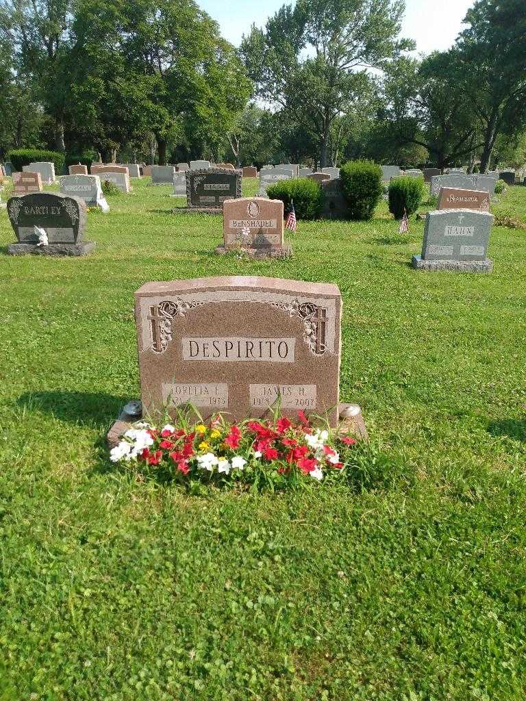 James H. DeSpirito's grave. Photo 1