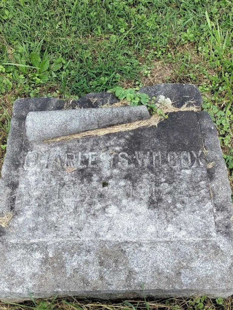 Charles S. Wilcox's grave. Photo 2