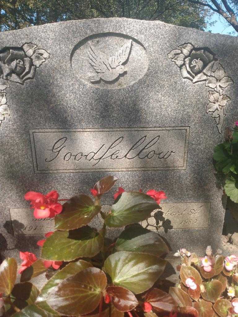 Robert A. Goodfellow's grave. Photo 1
