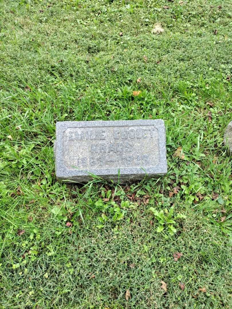 Emilie Cholet Kraus's grave. Photo 2