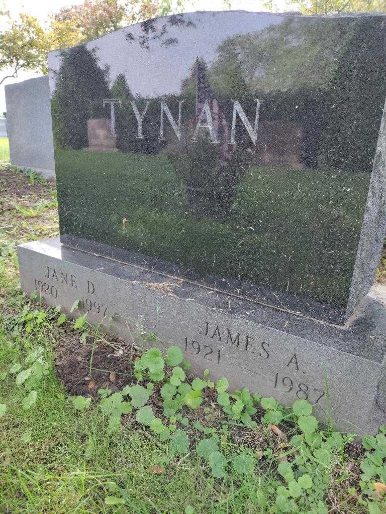 James A. Tynan's grave. Photo 3