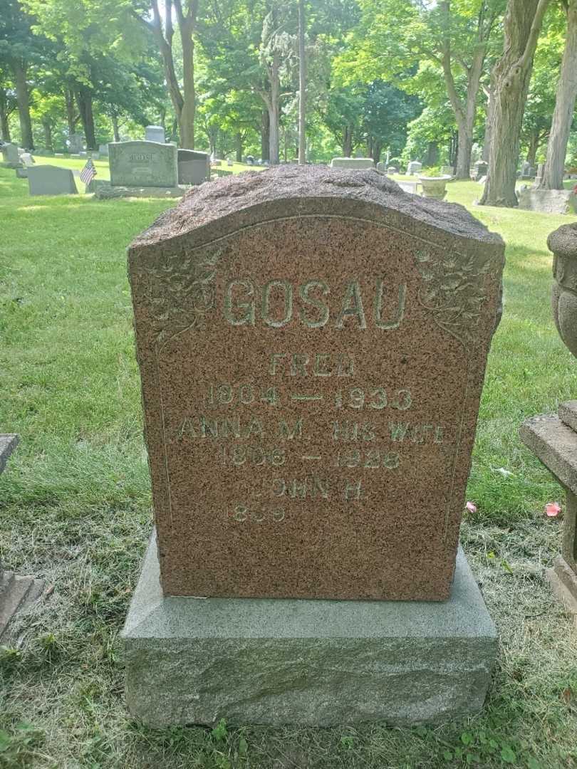 Frederick "Fred" Gosau's grave. Photo 3