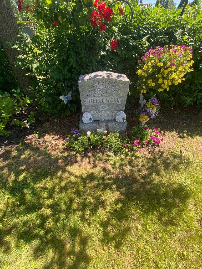 Anthony "Tony" Herlowski's grave. Photo 2