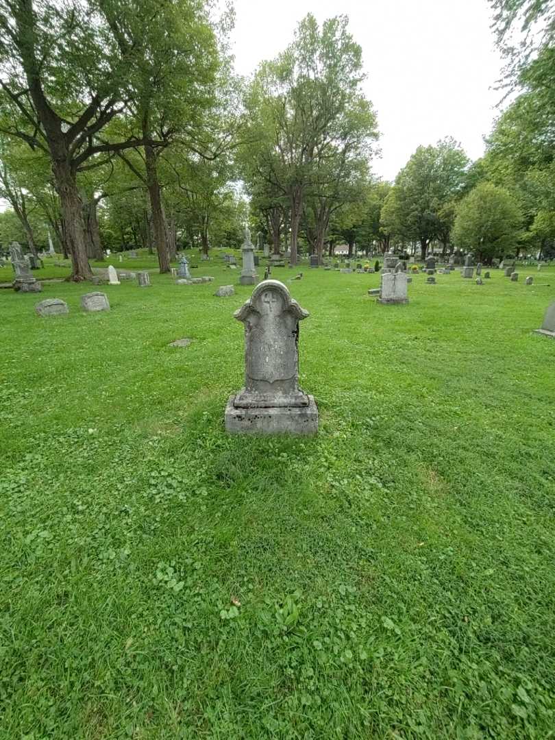 Johann B. Schmidt's grave. Photo 1