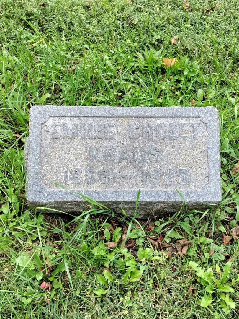 Emilie Cholet Kraus's grave. Photo 3