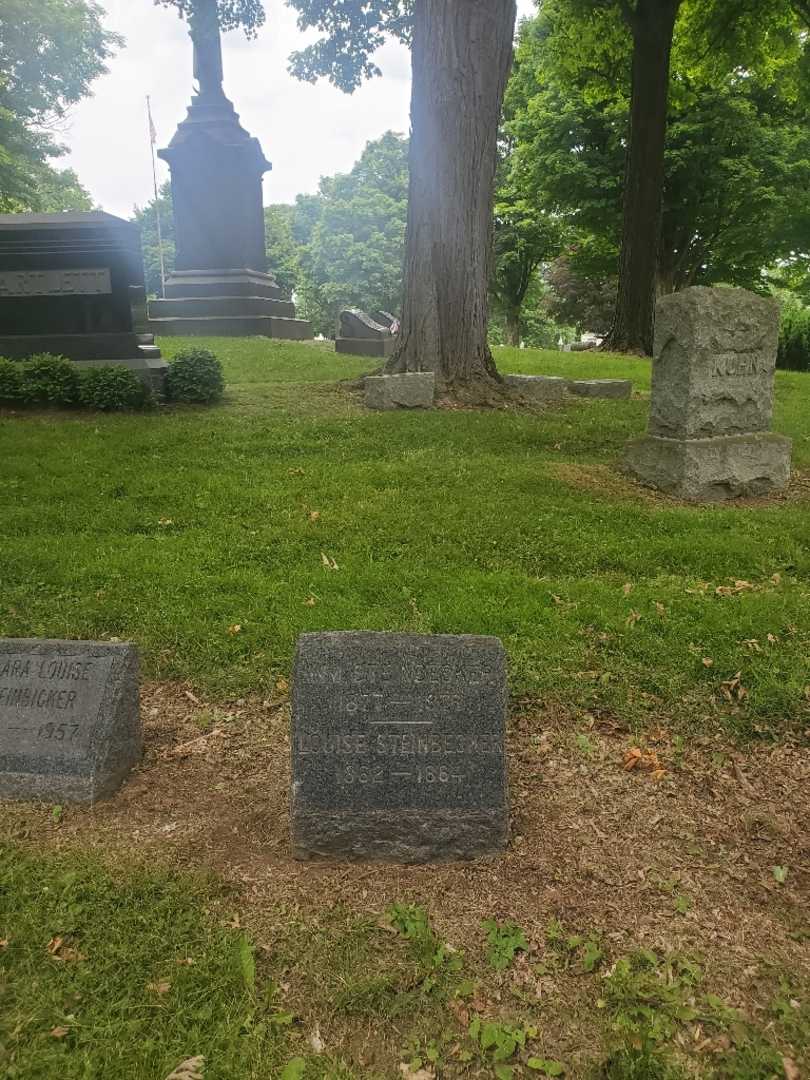 Louise Steinbicker's grave. Photo 1