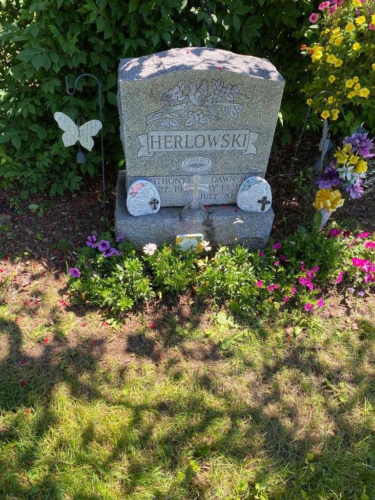 Anthony "Tony" Herlowski's grave. Photo 3