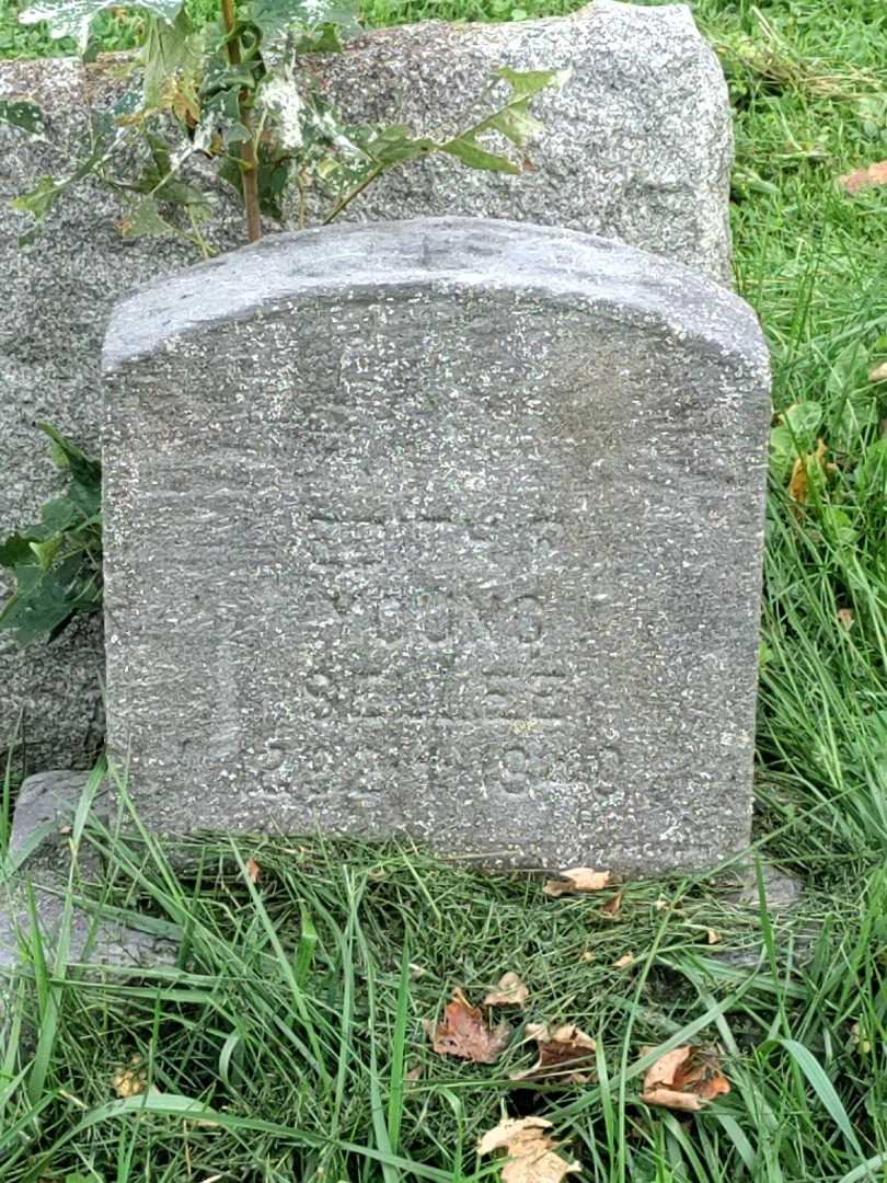 Edith P. Sellee Young's grave. Photo 3