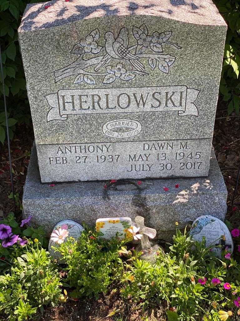 Dawn M. Herlowski's grave. Photo 1