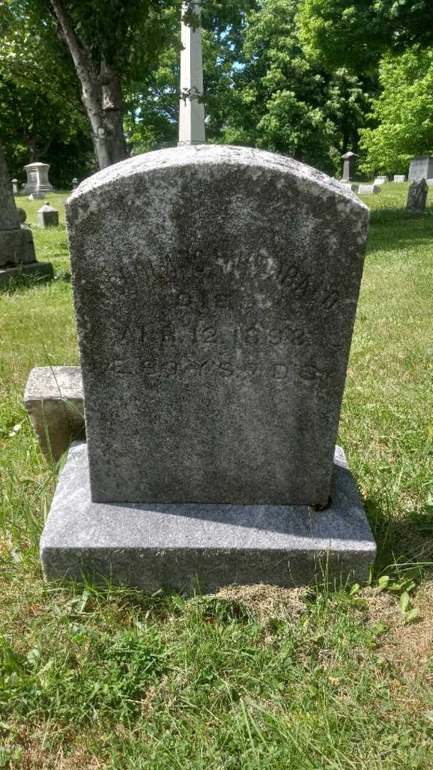 Nicholas Theobald's grave. Photo 3