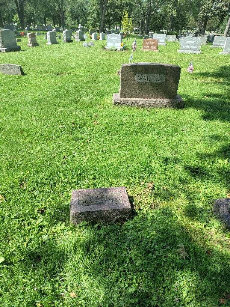 Carson Wallon's grave. Photo 1