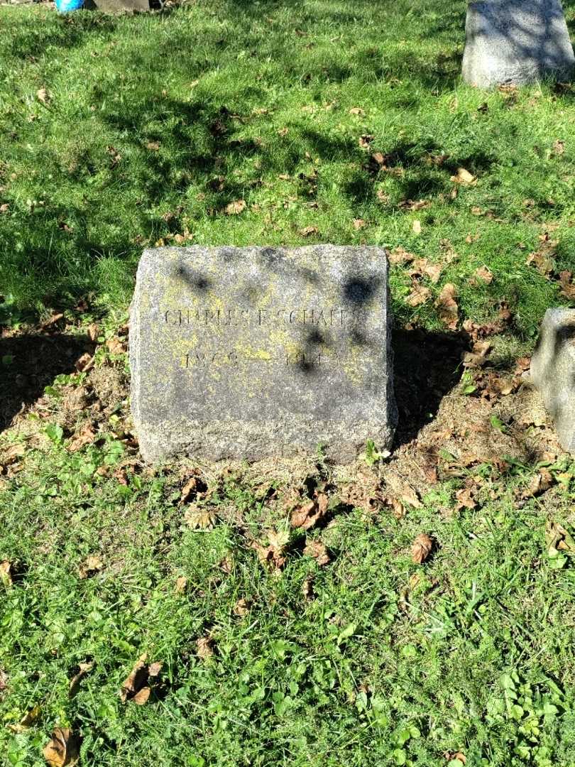 Charles F. Schafer's grave. Photo 2