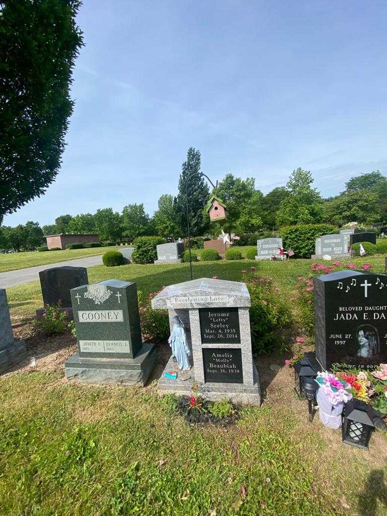 Jerome "Lefty" Seeley's grave. Photo 1