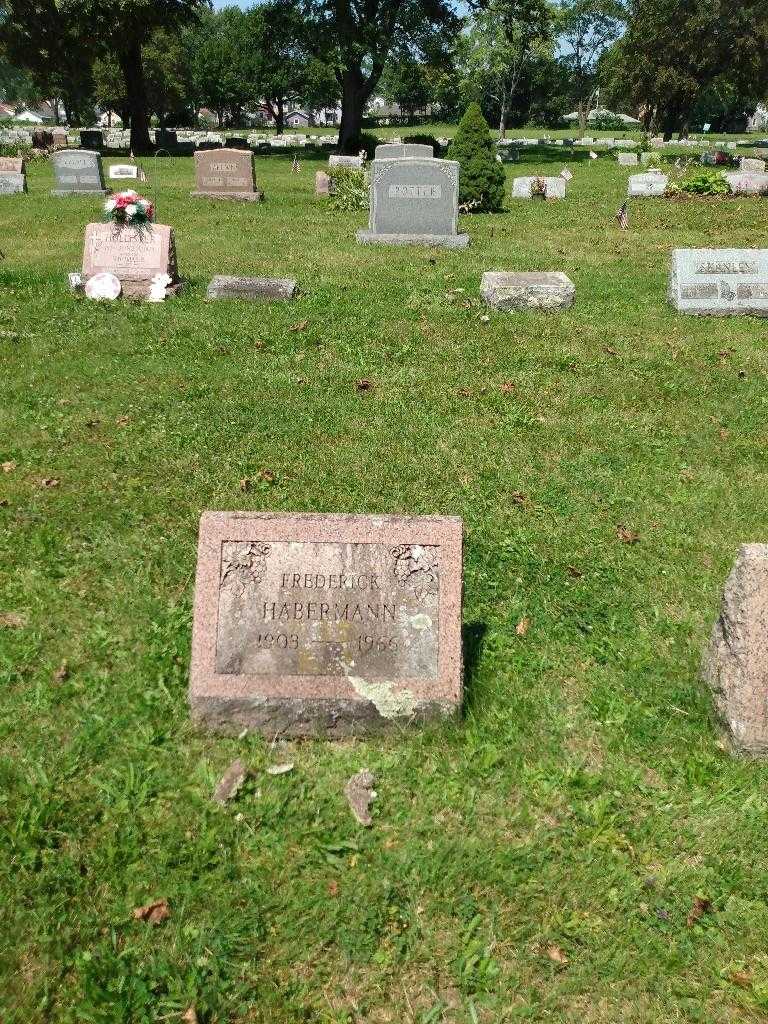Frederick Habermann's grave. Photo 1