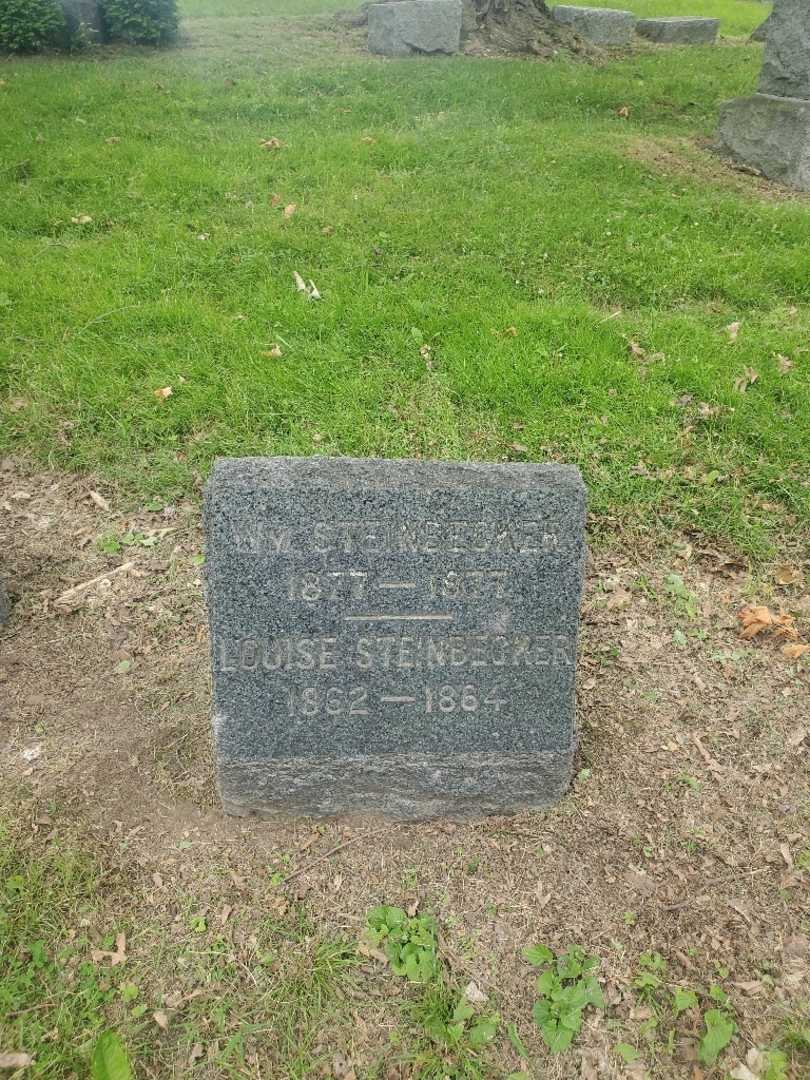 Louise Steinbicker's grave. Photo 2