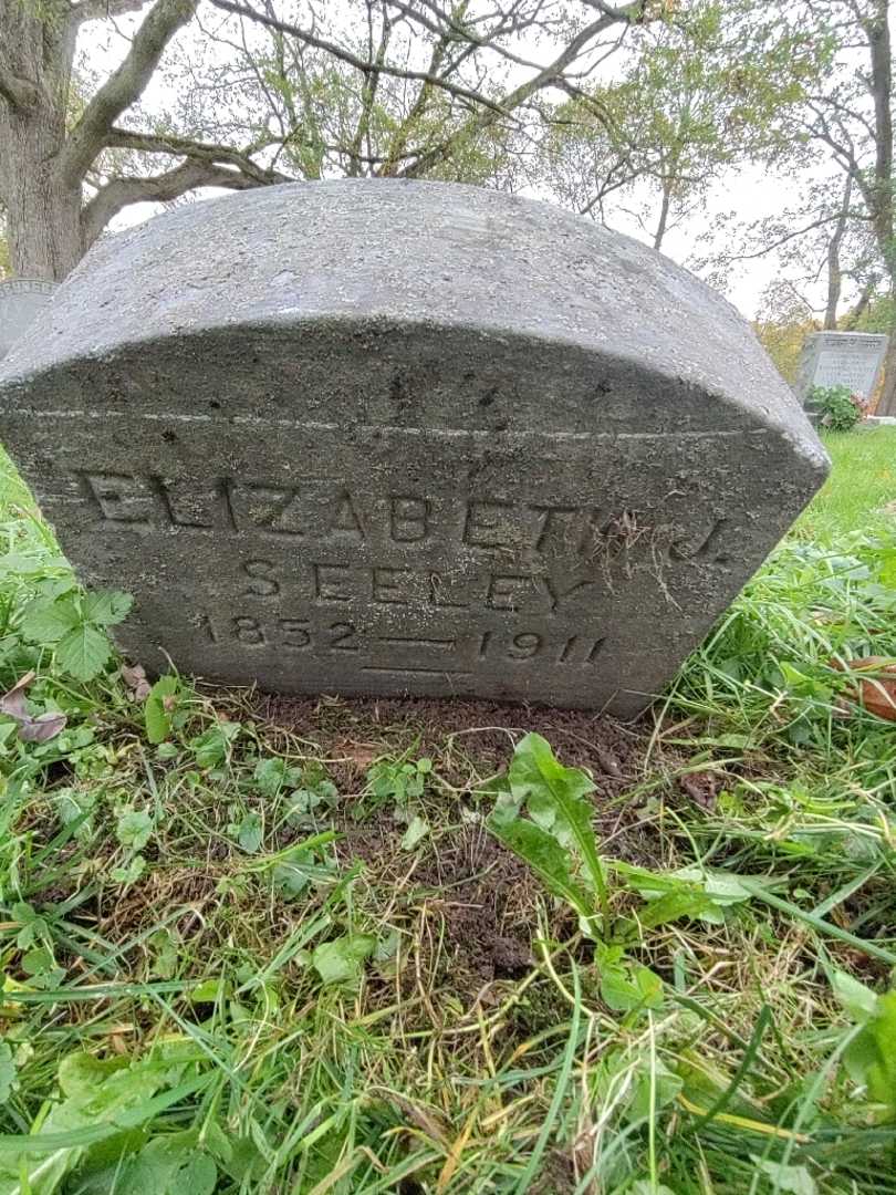 Elizabeth J. Seeley's grave. Photo 2