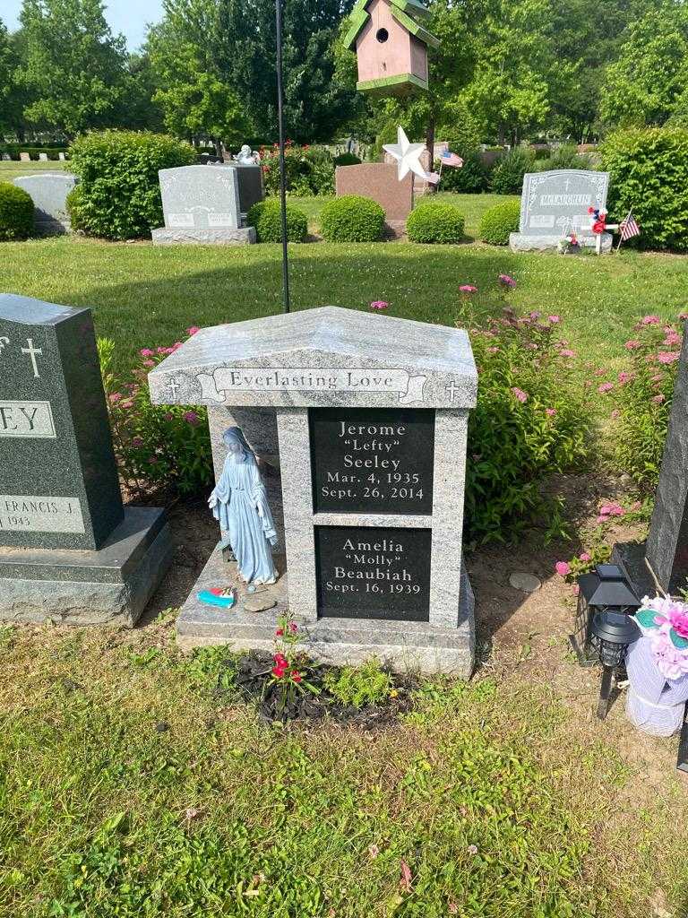 Jerome "Lefty" Seeley's grave. Photo 2