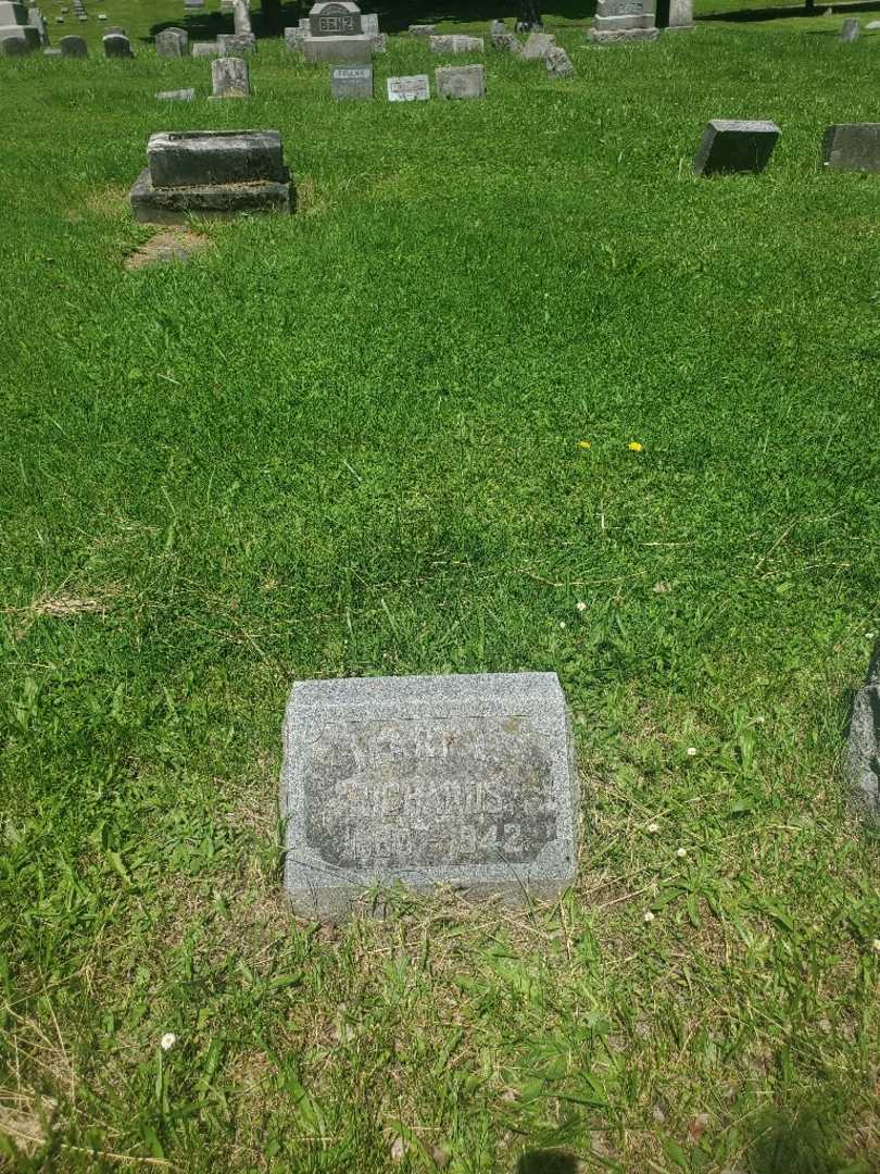 Mary L. Richards's grave. Photo 3