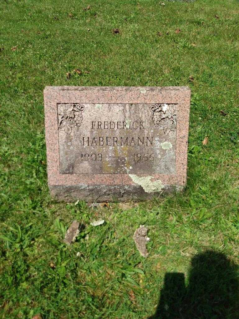 Frederick Habermann's grave. Photo 2