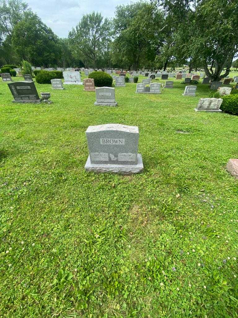 Alice J. Brown's grave. Photo 1